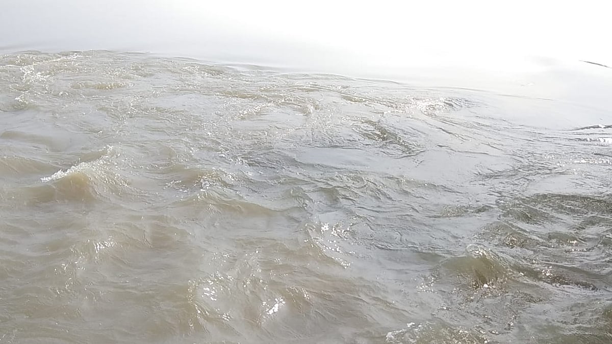 تصویر سوشل میڈیا