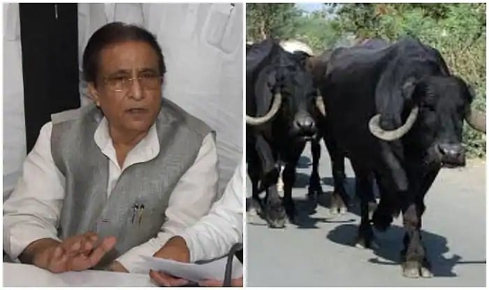 اب اعظم خان کے خلاف بھینس چوری کا مقدمہ درج!