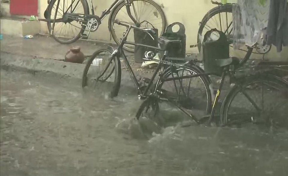 شدید بارش سے وڈودرا میں سیلاب کا منظر، مشکل میں ہزاروں لوگ... تصویری جھلکیاں