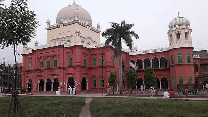 تصویر سوشل میڈیا