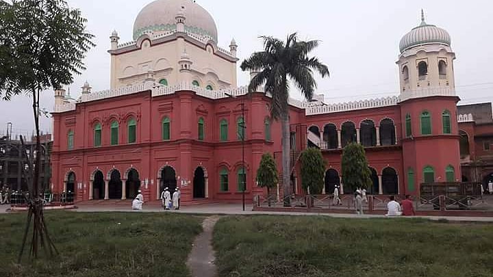 تصویر سوشل میڈیا