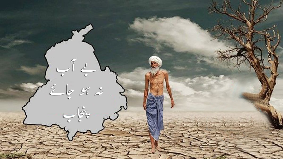 تصویر سوشل میڈیا