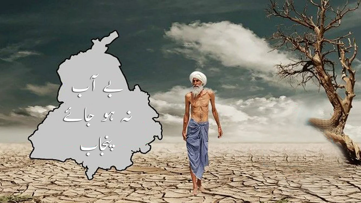 تصویر سوشل میڈیا
