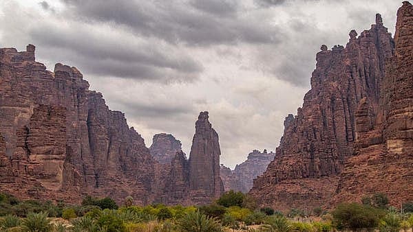 تصویر سوشل میڈیا