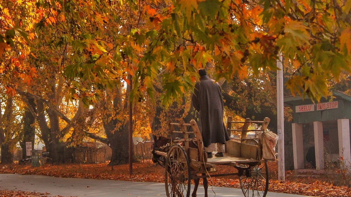 تصویر اے آئی این ایس