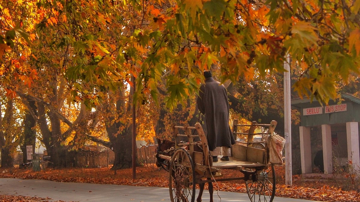تصویر اے آئی این ایس