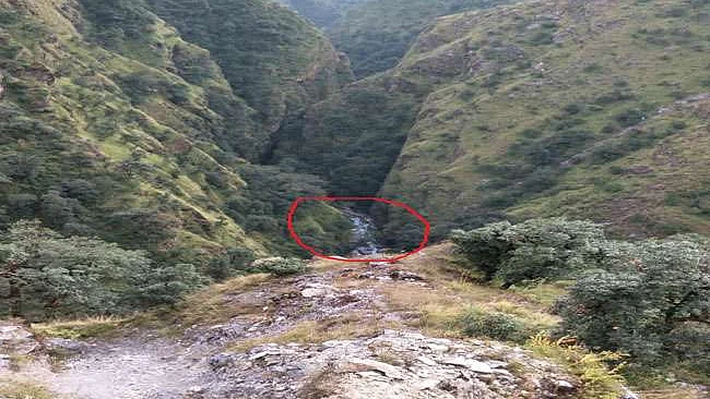 تصویر سوشل میڈیا