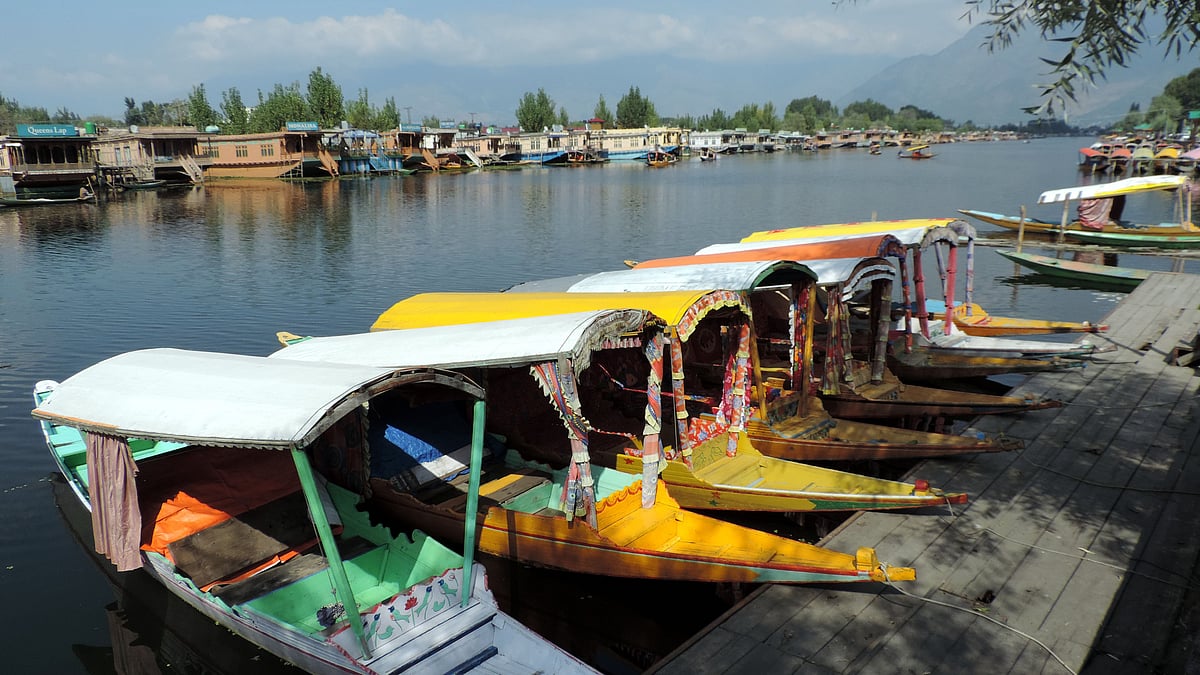 تصویر سوشل میڈیا