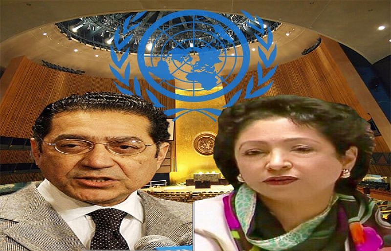 اقوام متحدہ میں نئے پاکستان کے  سفارت کار کی تعیناتی کا تنازعہ