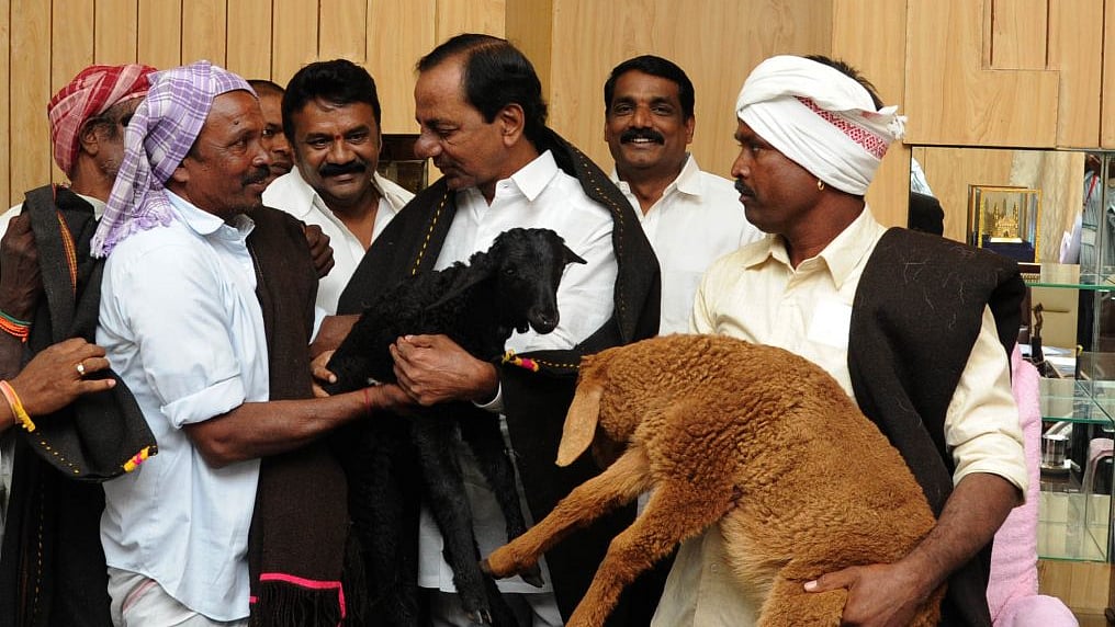 تصویر سوشل میڈیا