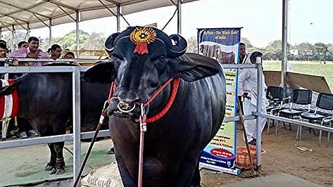تصویر سوشل میڈیا