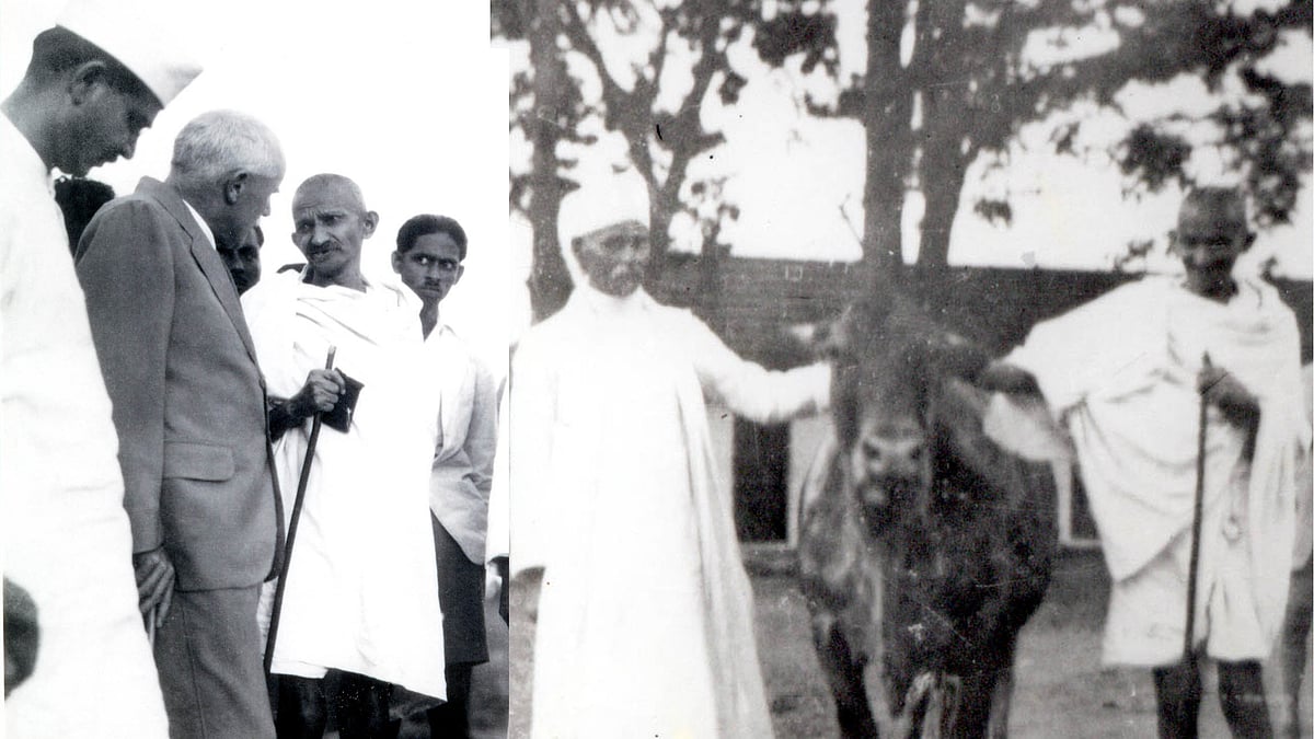 تصویر اے آئی این ایس