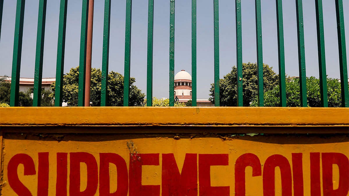 تصویر سوشل میڈیا