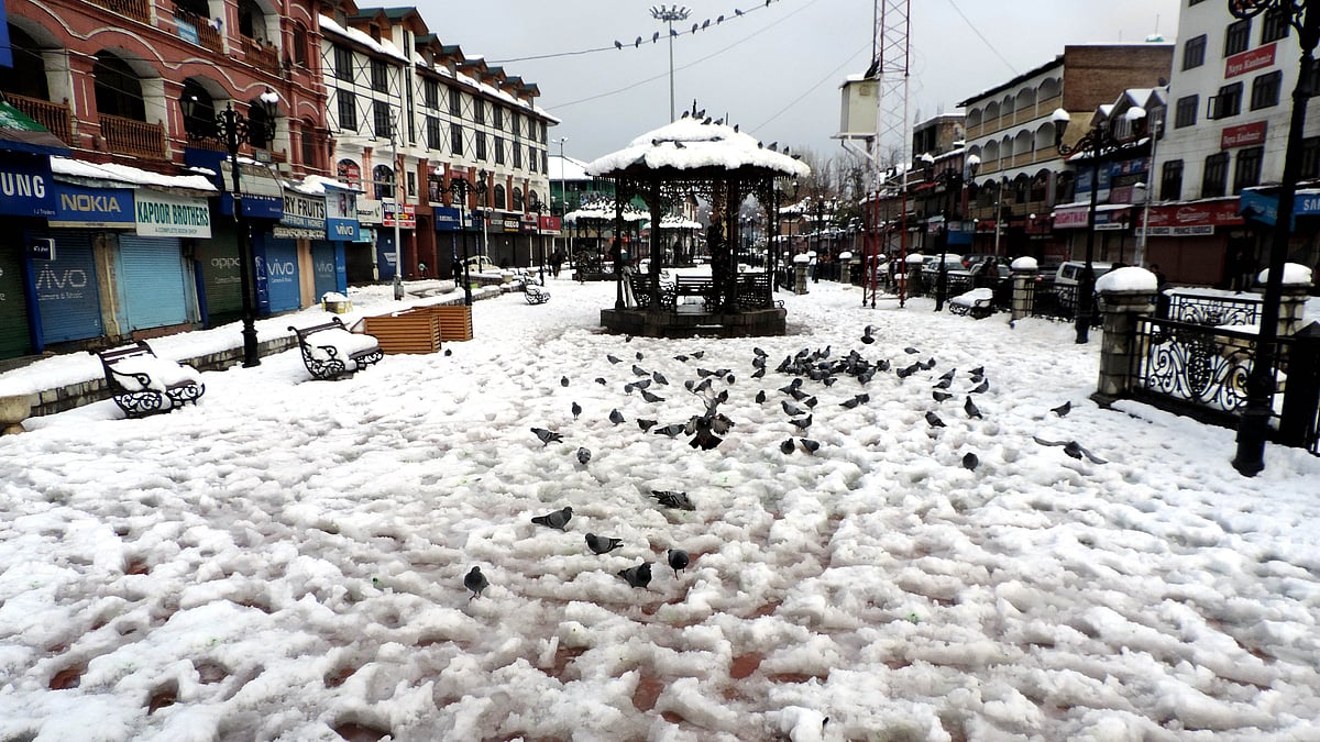 تصویر یو این آئی