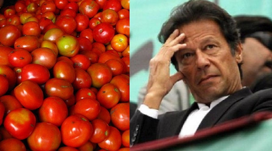 ’غریب پاکستان‘ میں مہنگائی کی زبردست مار، ٹماٹر فروخت ہو رہا 300 روپے کلو!
