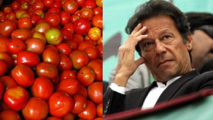 تصویر سوشل میڈیا