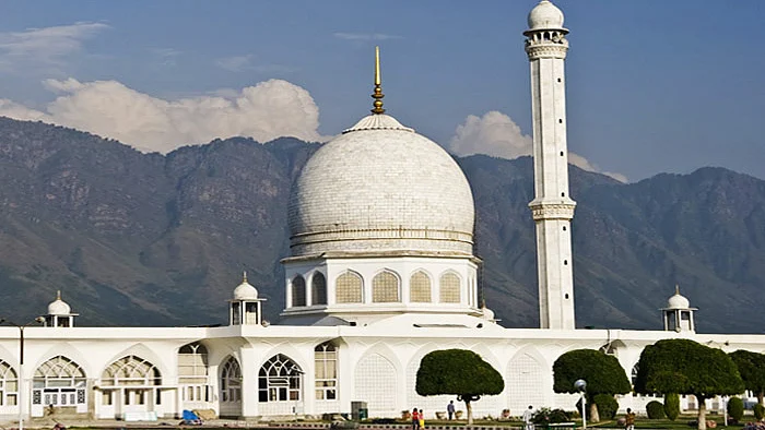 سوشل میڈیا