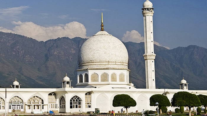 سوشل میڈیا