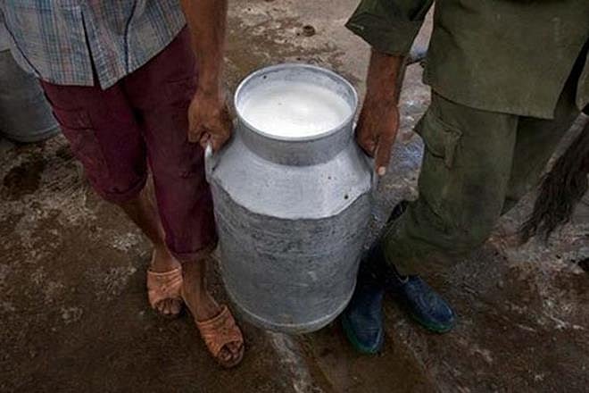 غازی آباد میں ’مڈ ڈے میل‘ کا دودھ پینے سے 25 بچے بیمار، اسپتال میں داخل