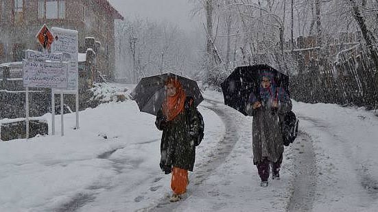 تصویر سوشل میڈیا
