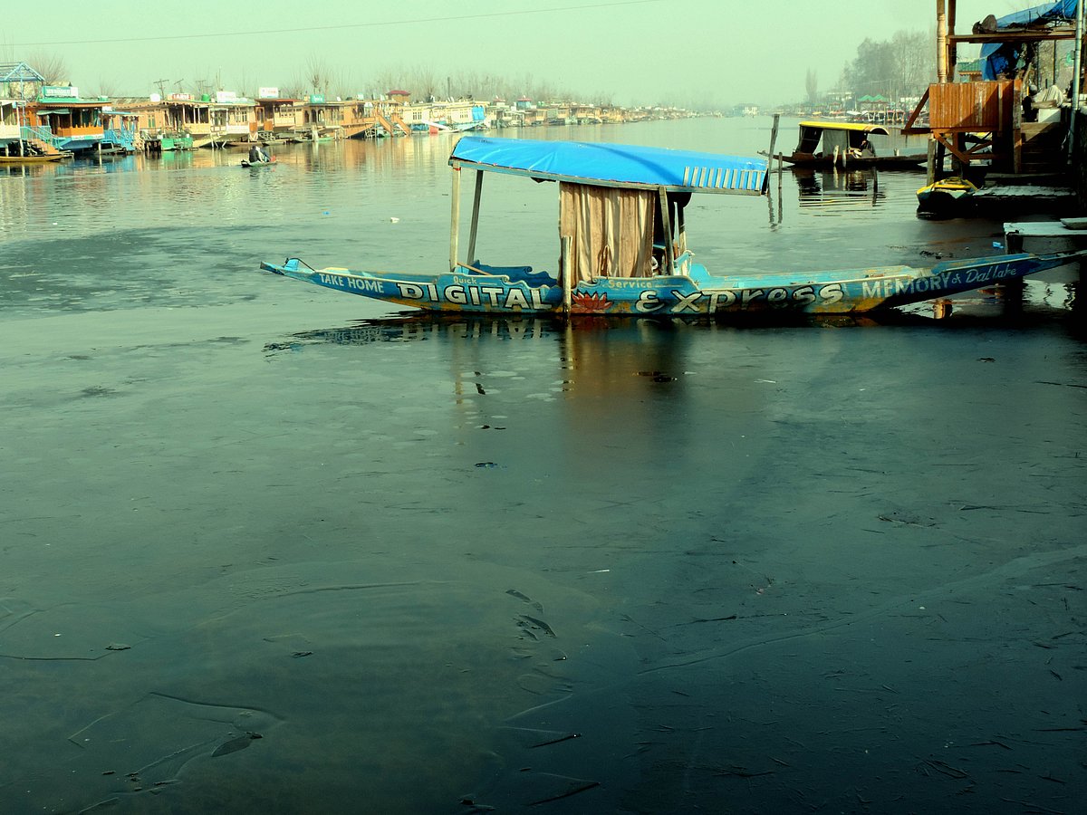 تصویر یو این آئی
