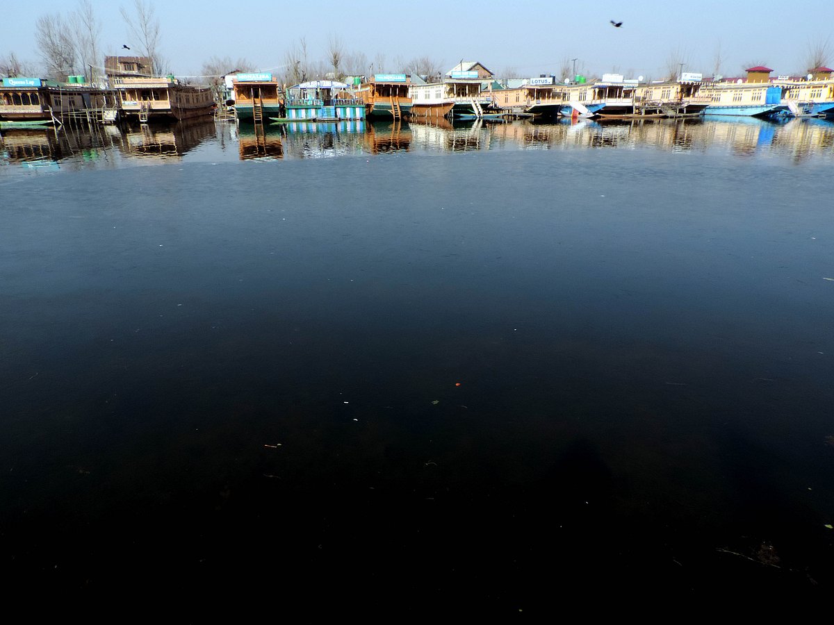 تصویر یو این آئی