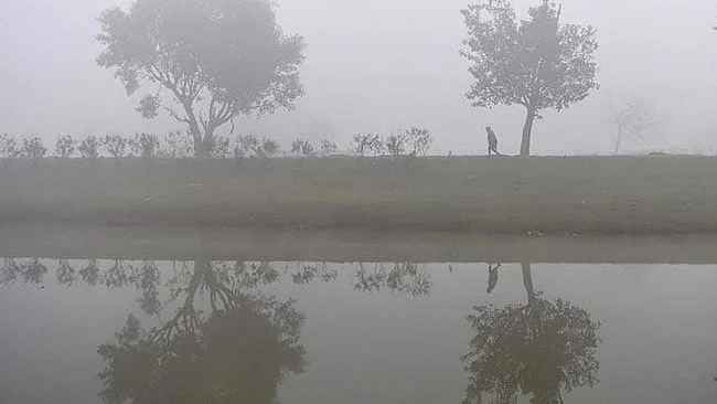 تصویر سوشل میڈیا