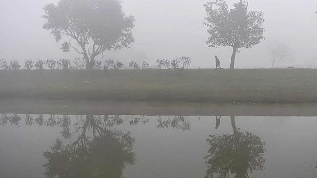 تصویر سوشل میڈیا