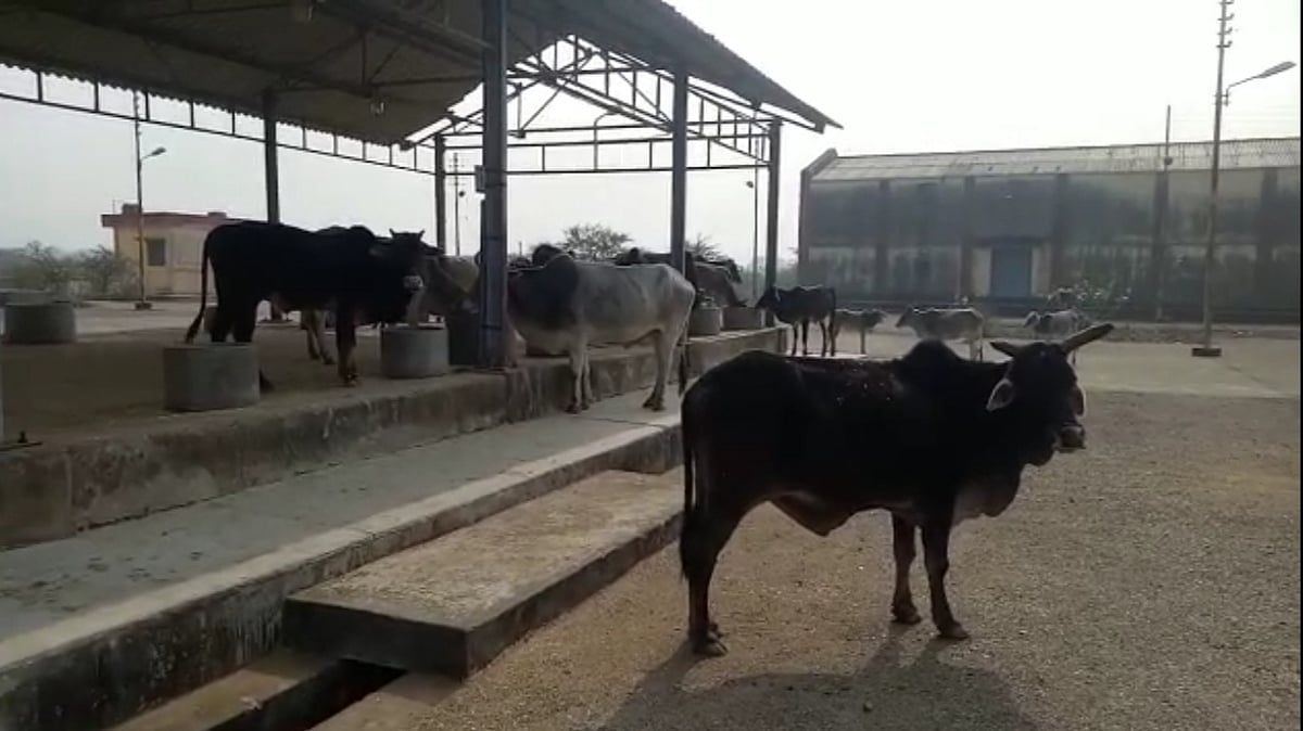 تصویر سوشل میڈیا