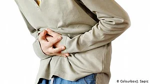 متلی زہریلی کیوں ہوتی ہے؟