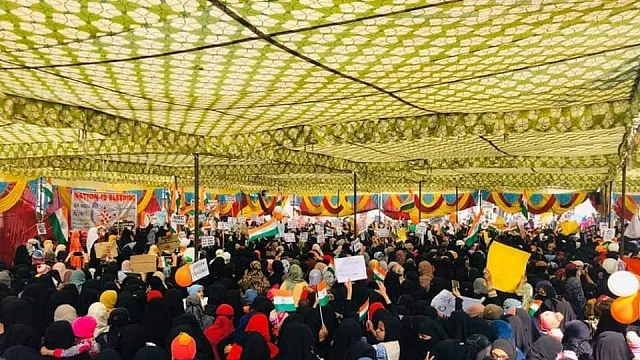 تصویر سوشل میڈیا
