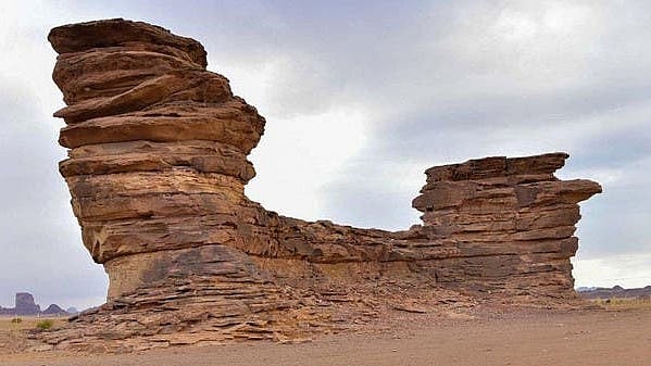 تصویر العربیہ ڈاٹ نیٹ