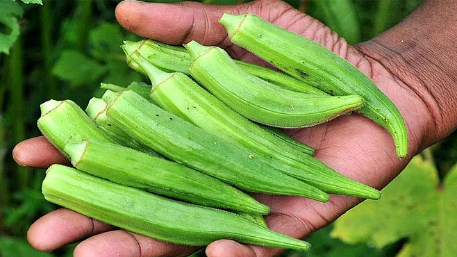 تصویر سوشل میڈیا