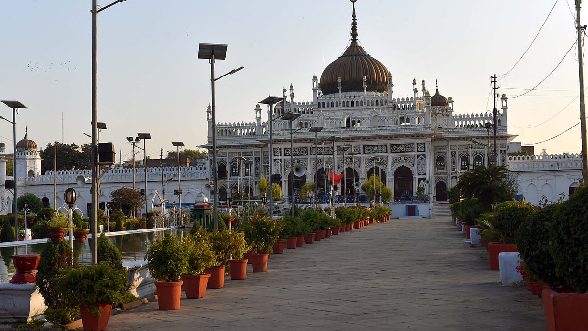 تصویر سوشل میڈیا