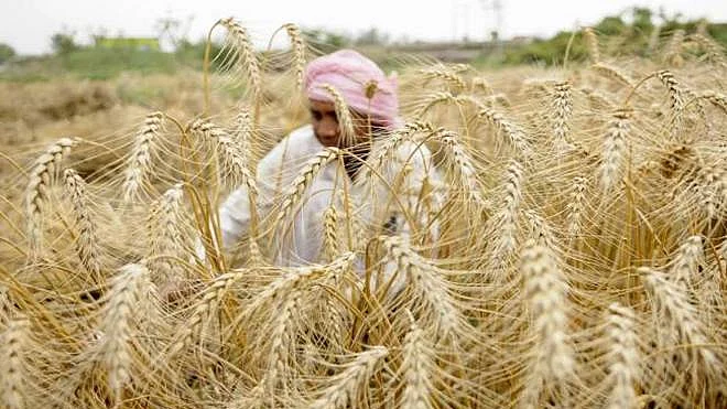 تصویر سوشل میڈیا
