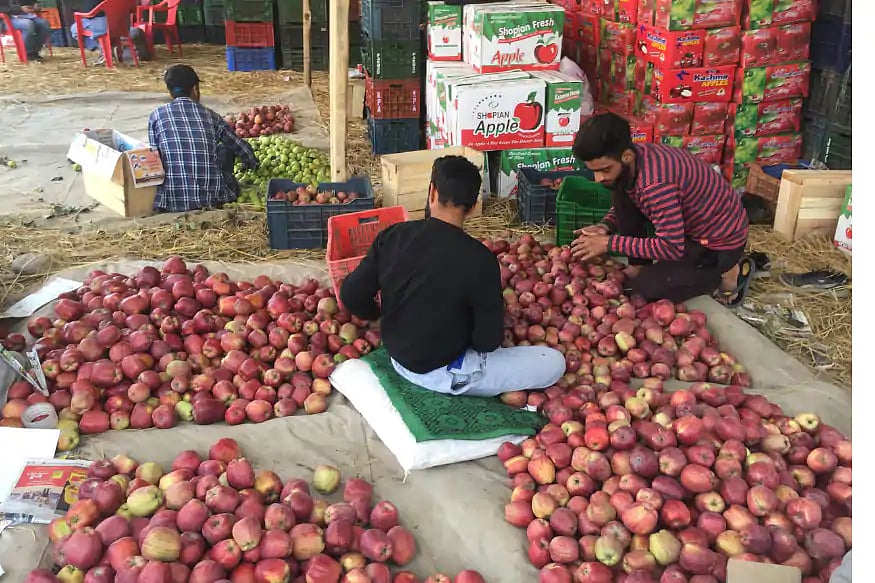 سیب کی صنعت کو برباد ہونے سے بچانے کے لئے سیب خریدیں، سوشل میڈیا مہم