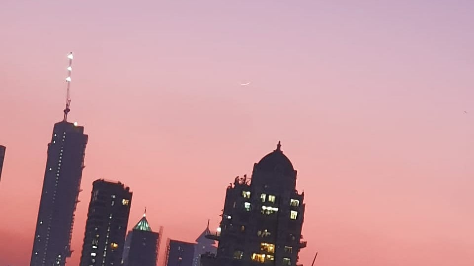 تصویر سوشل میڈیا