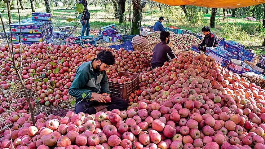تصویر سوشل میڈیا