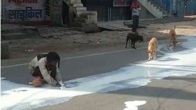 تصویر سوشل میڈیا