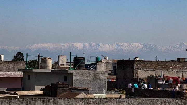 تصویر سوشل میڈیا