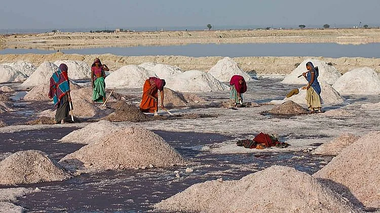تصویر سوشل میڈیا