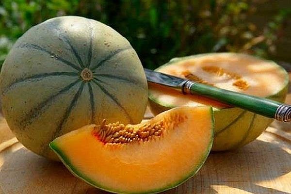 لکھنوی خربوزہ معدوم ہوتا ہوا