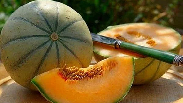 سوشل میڈیا