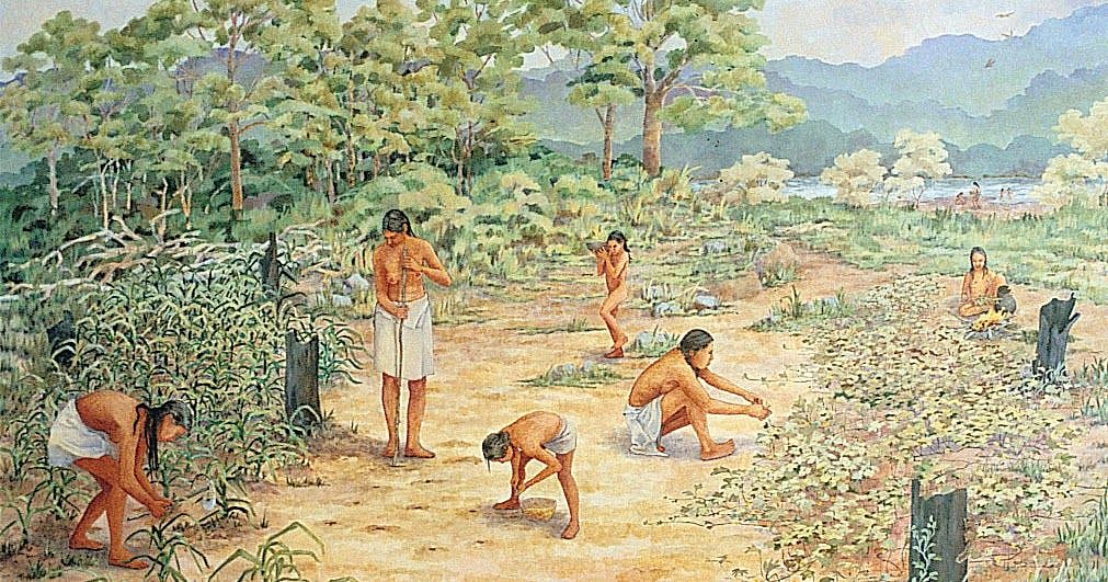 انسان نے کھیتی باڑی کی شروعات کس طرح کی... وصی حیدر