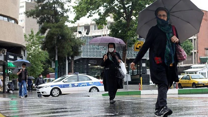 سوشل میڈیا