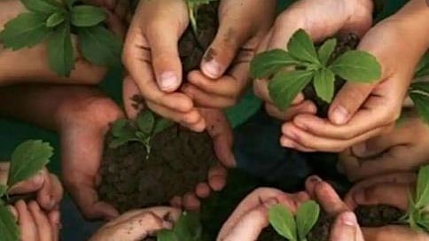 تصویر سوشل میڈیا