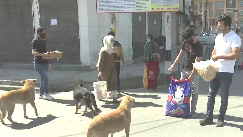 تصویر سوشل میڈیا