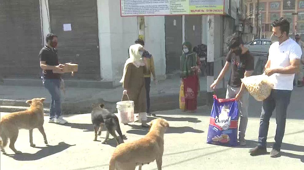 تصویر سوشل میڈیا