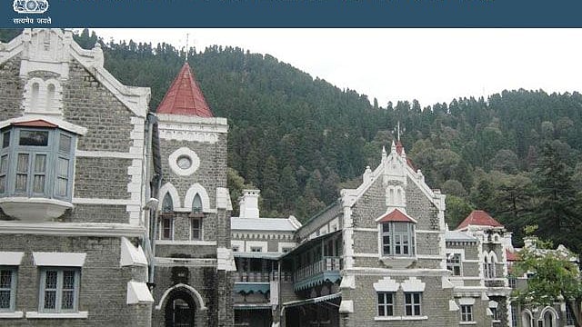 سوشل میڈیا