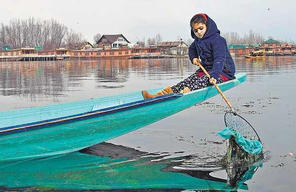 وادی کشمیر: سات سالہ ’جنت‘ کی جنت ارضی کو بچانے کی مہم، اسکولی نصاب میں شامل ہوئی کہانی